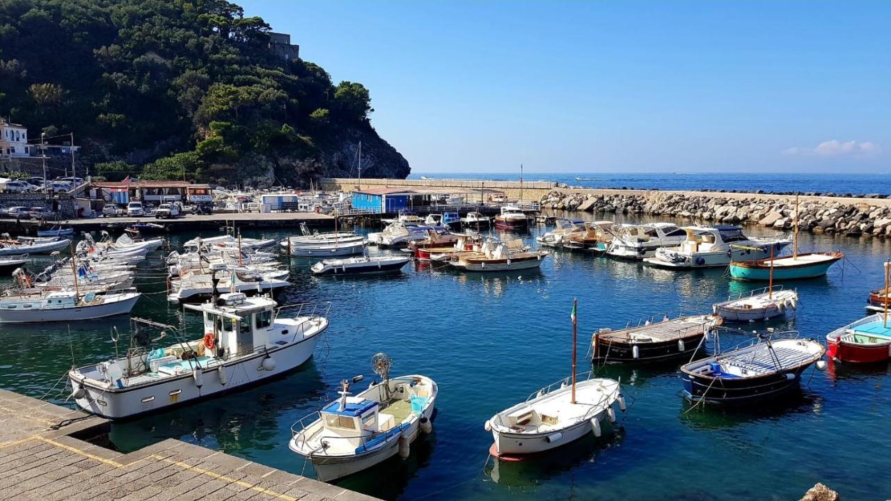 Relais Del Mare Con Terrazza Fronte Mare Free Parking Daire Massa Lubrense Dış mekan fotoğraf